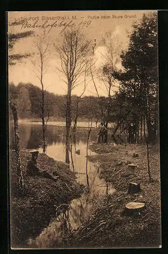 AK Biesenthal i. M., Partie beim Sture Grund