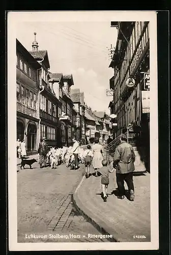 AK Stolberg / harz, Rittergasse mit Passanten