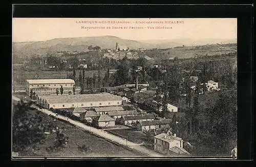 AK Larroque-d'Ilmes, Etablissements Ricalens, Manufacture de Draps et Feutres, Vue Générale