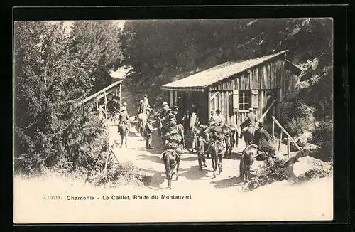 AK Chamonix, Le Caillet, Route du Montanvert