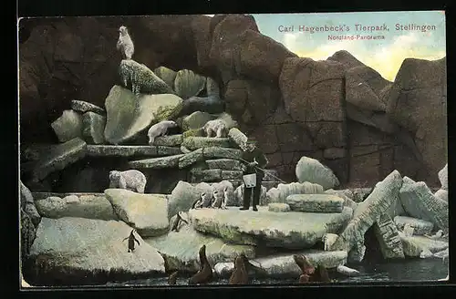 AK Hamburg-Stellingen, Carl Hagenbecks Tierpark, Nordland-Panorama