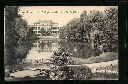 AK Frankfurt a. M., Zoologischer Garten, Weiher-Partie