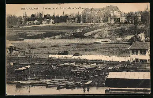 AK Ris-Orangis, Panorama du Sanatorium de Champrosay