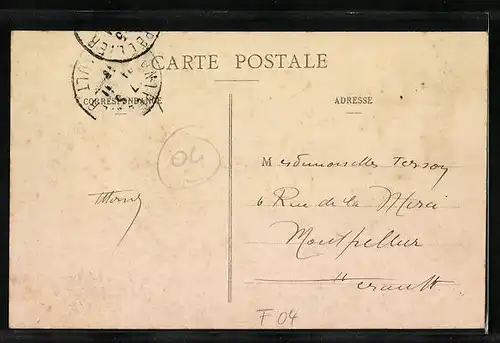 AK Digne, Vue generale