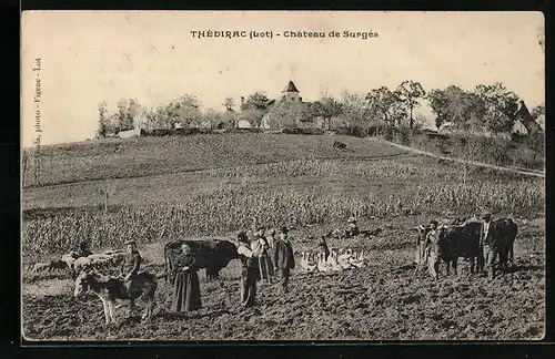 AK Thédirac, Chateau de Surgès