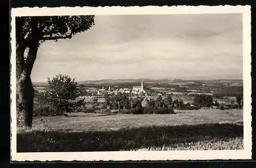 AK St-Sauveur-de-Peyre, Vue generale
