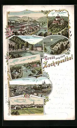 Lithographie Waldheim, Ortsansicht, Schloss Kriebstein, Raubschloss