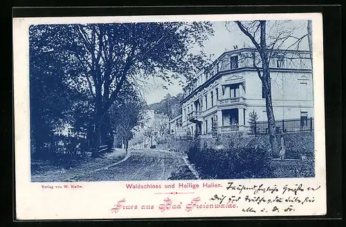 AK Bad Freienwalde, Waldschloss und Heilige Hallen