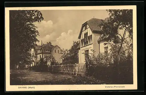 AK Dahme /Mark, Victoria-Promenade mit Häusern