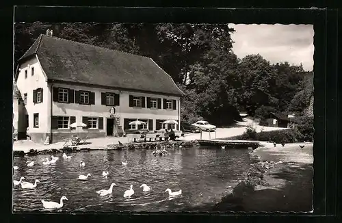 AK Wimsen bei Zwiefalten, Gasthaus u. Pension Zur Friedrichshöhle