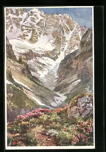 Künstler-AK E.F. Hofecker: AK Deutscher Schulverein Nr. 413: Monte Cristallogletscher vom Eduardfelsen