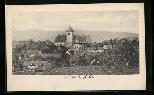AK Gansbach, Ortsansicht mit Kirche