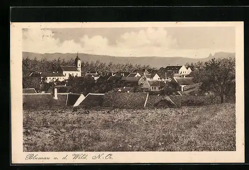 AK Blumau a. d. Wild, Ortsansicht mit Kirche