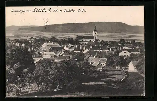 AK Loosdorf, Totalansicht aus der Vogelschau