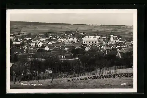 AK Herrnbaumgarten, Totalansicht vom Weinberg aus