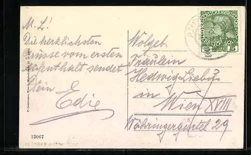 AK Amstettten, Panorama