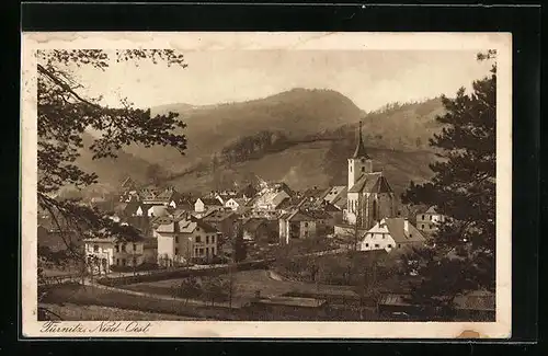 AK Türnitz, Ortsansicht mit Feldern und Bergen