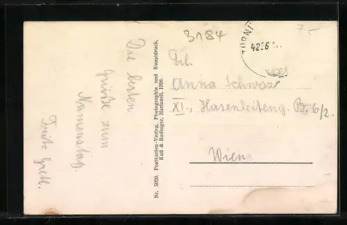 AK Türnitz, Ortsansicht mit Feldern und Bergen