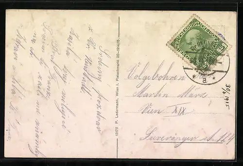 AK Wr. Neustadt, Panorama mit Militär-Akademie und Wasserturm