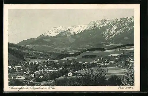 AK Payerbach, Gesamtansicht mit Viadukt und Rax