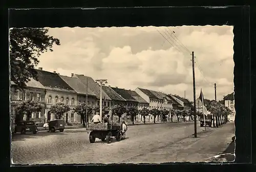 AK Sonnewalde /N.-L., Markt mit Pferdewagen