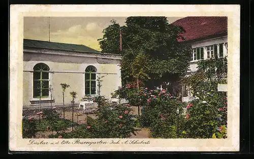 AK Diesbar a. d. Elbe, Rosengarten, Inh. A. Schubert