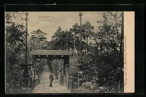 AK Berlin-Grunewald, Partie im Hasensprung