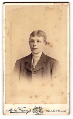 Fotografie F. W. Werner, Riesa, Kastanienstrasse 81, Junger Herr im Anzug mit Krawatte