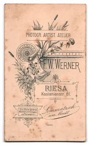 Fotografie F. W. Werner, Riesa, Kastanienstrasse 81, Junger Herr im Anzug mit Krawatte