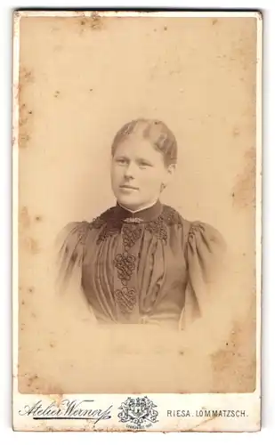 Fotografie F. W. Werner, Riesa, Kastanienstrasse 81, Junge Dame im Kleid mit Kragenbrosche