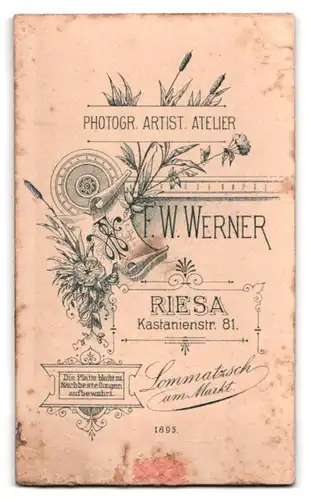 Fotografie F. W. Werner, Riesa, Kastanienstrasse 81, Junge Dame im Kleid mit Kragenbrosche