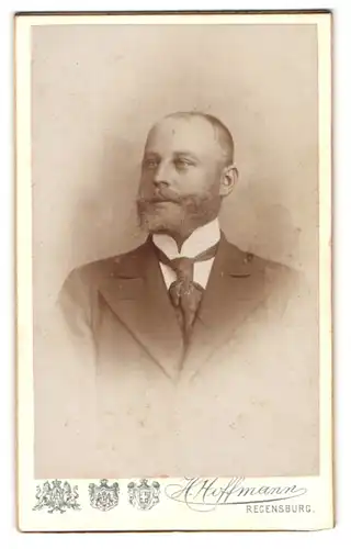 Fotografie H.Hoffmann, Regensburg, gutbürgerlicher Herr mit Krawatte und Bart