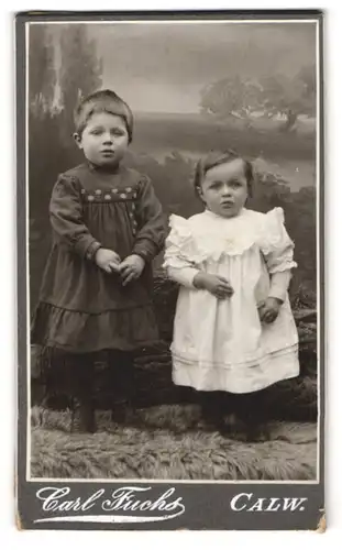 Fotografie Carl Fuchs, Calw, Kleinkinder in Kleidern auf Felldecke