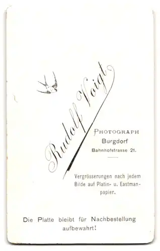 Fotografie Rudolf Voigt, Burgdorf, Bahnhofstrasse 21, Dame mit hochgesteckten Haaren und Brosche