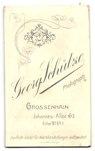 Fotografie G. Schütze, Grossenhain, Johannesallee 3, Junger Herr im ansehnlichen Gewand