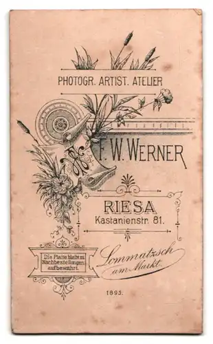 Fotografie Atelier Werner, Riesa, Kastanienstrasse 81, Heranwachsender aus gutem Hause in einer Studiokulisse