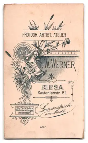 Fotografie Atelier Werner, Riesa, Kastanienstrasse 81, Junger Herr mit gewichstem Mittelscheitel im bürgerlichen Anzug