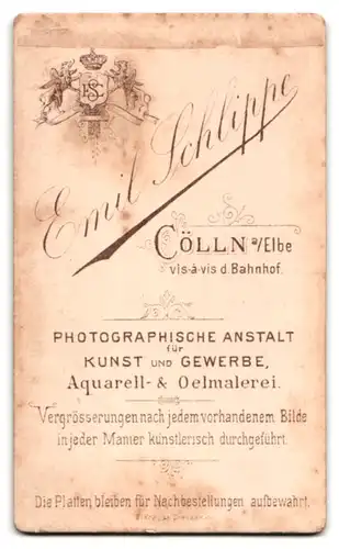 Fotografie Emil Schlippe, Cölln a. E., Junger Herr mit prächtigem Vollbart im bürgerlichen Gewand