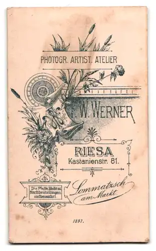 Fotografie Atelier Werner, Riesa, Kastanienstrasse 81, Schnöseliger Knirps mit gewichstem Mittelscheitel