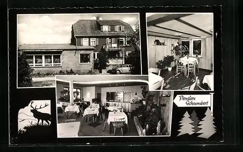 Passepartout-AK Bullau über Erbach /Odenw., Pension Schumbert