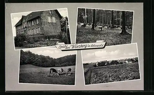Passepartout-AK Würzberg /Odenw., Ortsansicht, Wild in Wald und Feld, Gasthaus Zum Adler