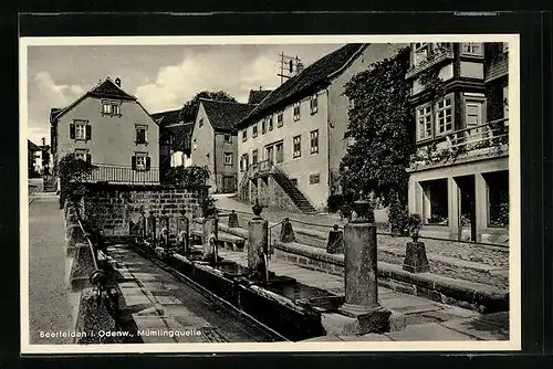 AK Beerfelden /Odenw., Partie an der Mümlingquelle