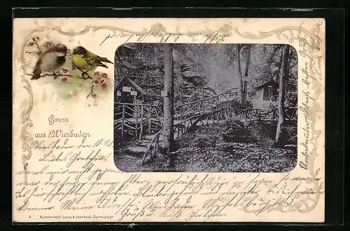 AK Wiesbaden, Leichtweishöhle, Passepartout