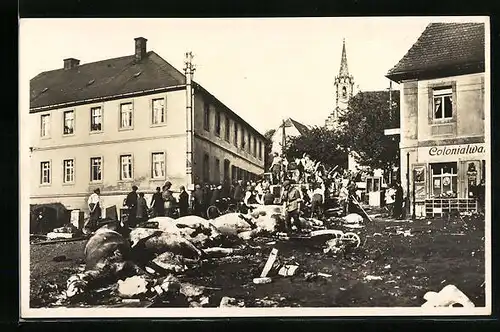 AK Berggiesshübel /Gottleubatal, Durch das Hochwasser angeschwemmte Viehkadaver