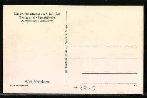 AK Berggiesshübel /Gottleubatal, Durch das Hochwasser angeschwemmte Viehkadaver