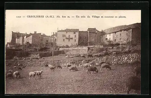 AK Gréolières, Un coin du Village et moutons en pature