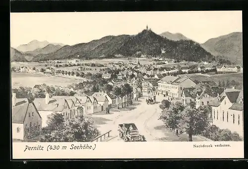 AK Pernitz, Teilansicht mit Strassenpartie