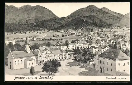 AK Pernitz, Teilansicht mit Strassenpartie