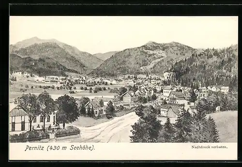 AK Pernitz, Teilansicht mit Strassenpartie