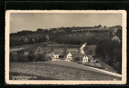 AK Weisses Kreuz bei Krumbach, Ortspartie